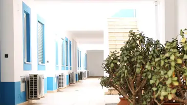 Oasis Beach Apartments