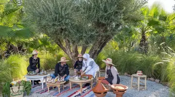 Oasis Lodges