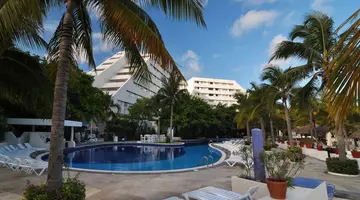 Oasis Palm