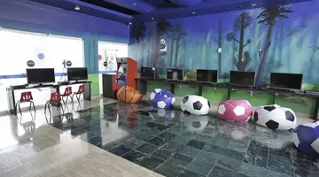 Oasis Palm
