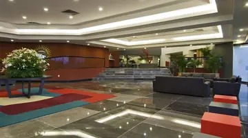Oasis Palm