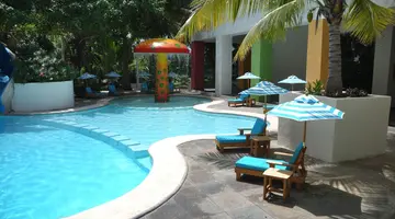 Oasis Palm