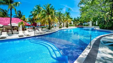 Oasis Palm