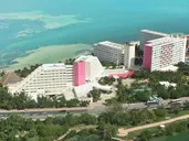 Oasis Palm