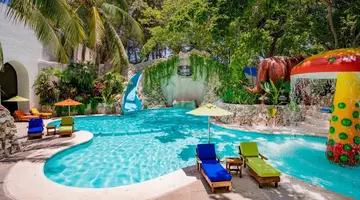 Oasis Palm