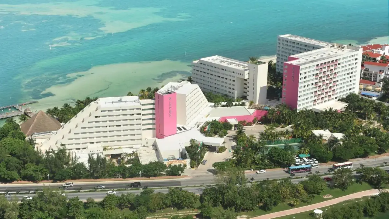Oasis Palm