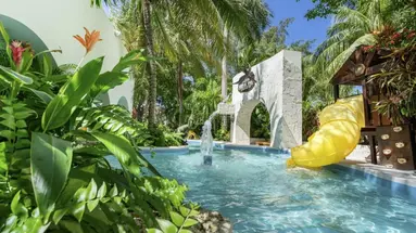 Oasis Palm