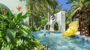 Oasis Palm