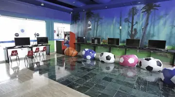 Oasis Palm