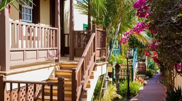 Oasis San Antonio