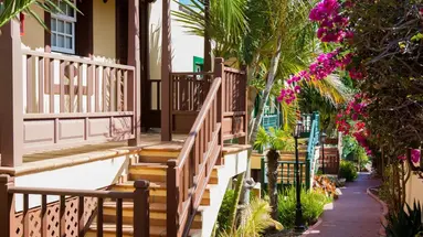 Oasis San Antonio
