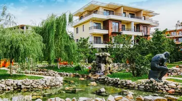 Oasis