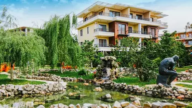 Oasis