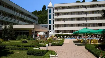 Oasis