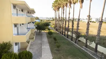 Oasis