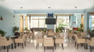 Oasis