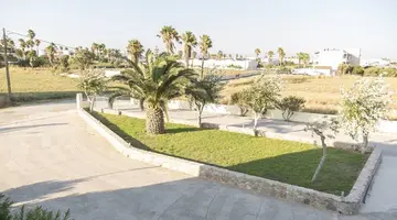 Oasis