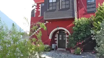Oasis