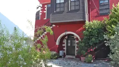 Oasis
