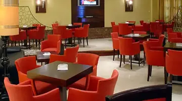 Oasis