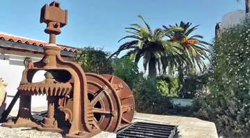Oasis