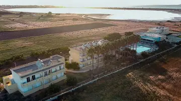Oasis