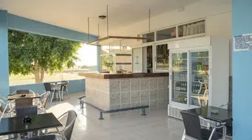 Oasis