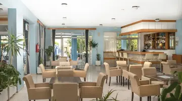 Oasis