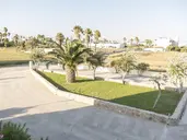 Oasis