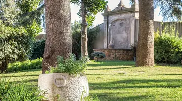 Occidental Aurelia