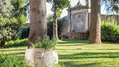 Occidental Aurelia