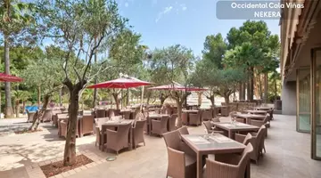 Occidental Cala Viñas