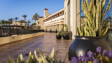 Occidental Jandía Mar – All Inclusive