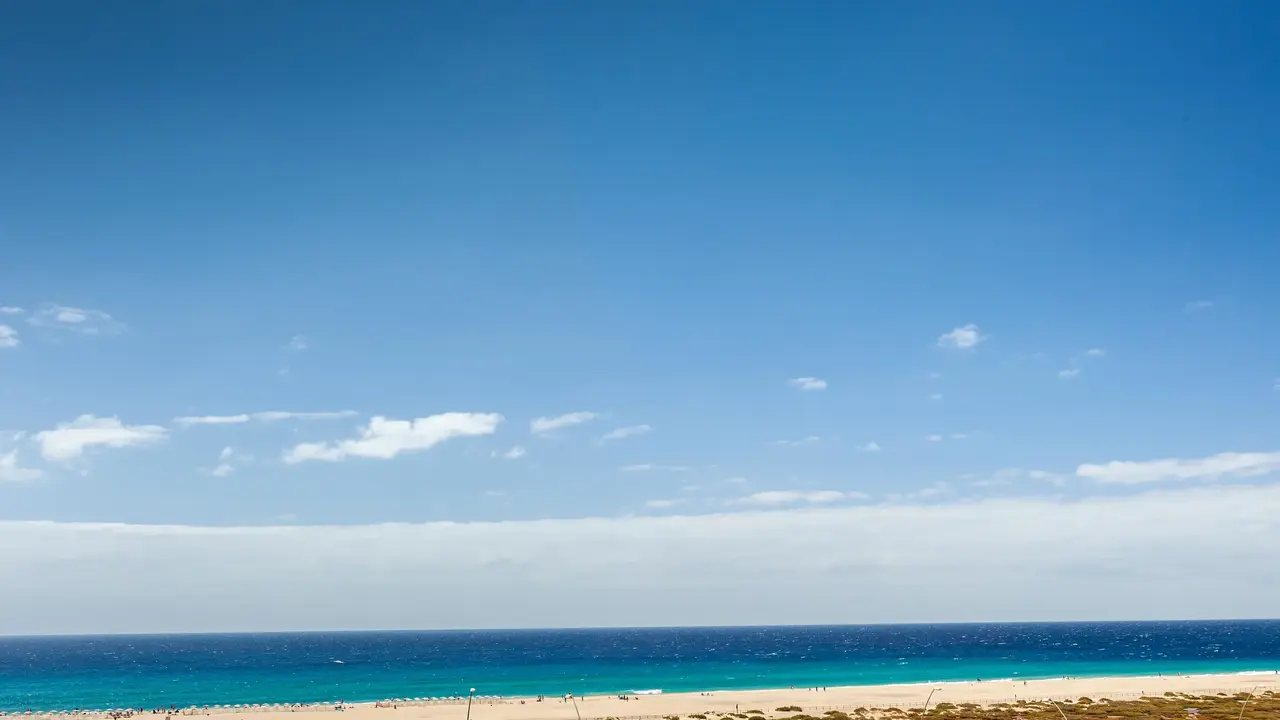 Occidental Jandia Playa