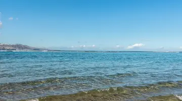 Occidental Las Canteras