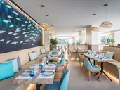 Occidental Puerto Banus