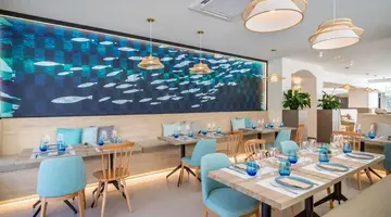 Occidental Puerto Banus