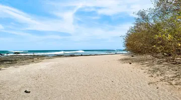 Occidental Tamarindo