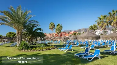 Occidental Torremolinos Playa