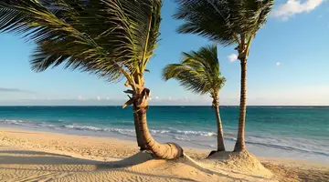 Ocean Blue and Sand