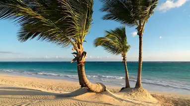 Ocean Blue and Sand