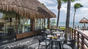 Ocean Maya Royale