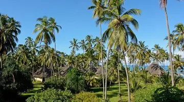 Ocean Paradise Resort & Spa