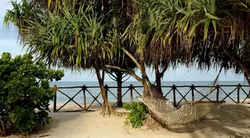 Ocean Paradise Resort & Spa