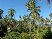 OCEAN PARADISE RESORT & SPA