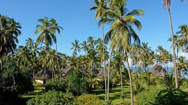 OCEAN PARADISE RESORT & SPA