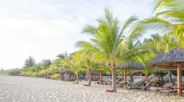 OCEAN VISTA MUINE