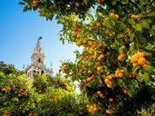 Od Andaluzji do Andaluzji Premium