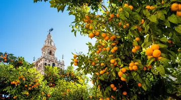 Od Andaluzji do Andaluzji Premium