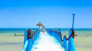 Odysee Resort